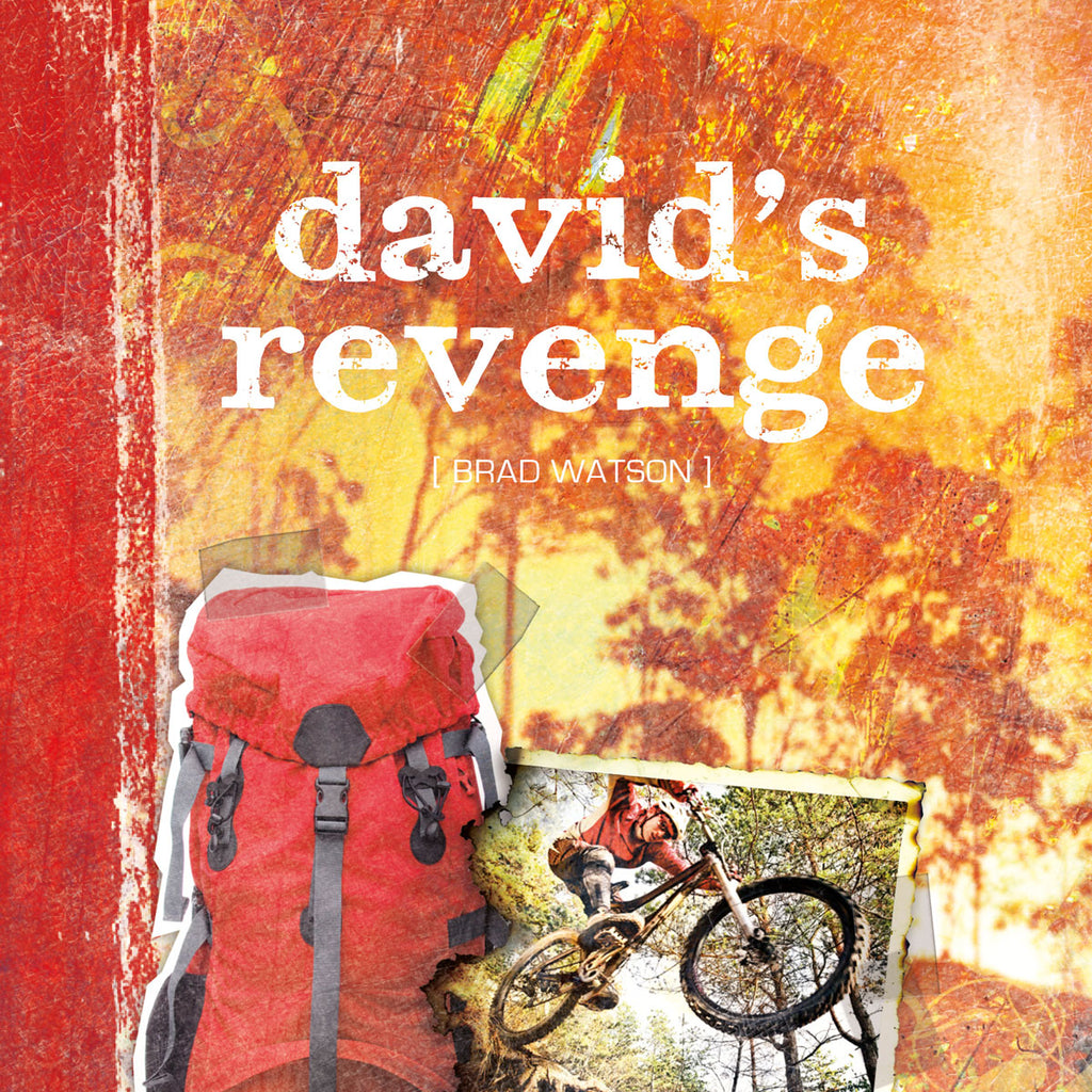 David's Revenge