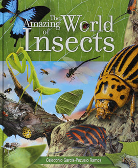 The Amazing World of Insects