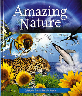 Amazing Nature
