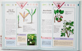 Encyclopedia of Medicinal Plants (2 Vol Set)