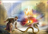 Illustrated Bible