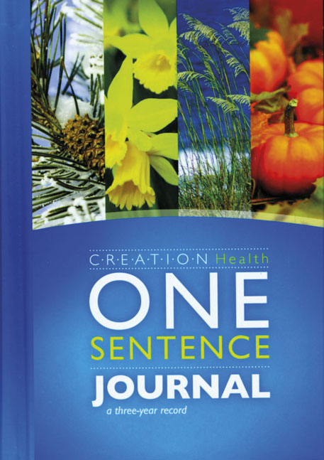 One sentence journal